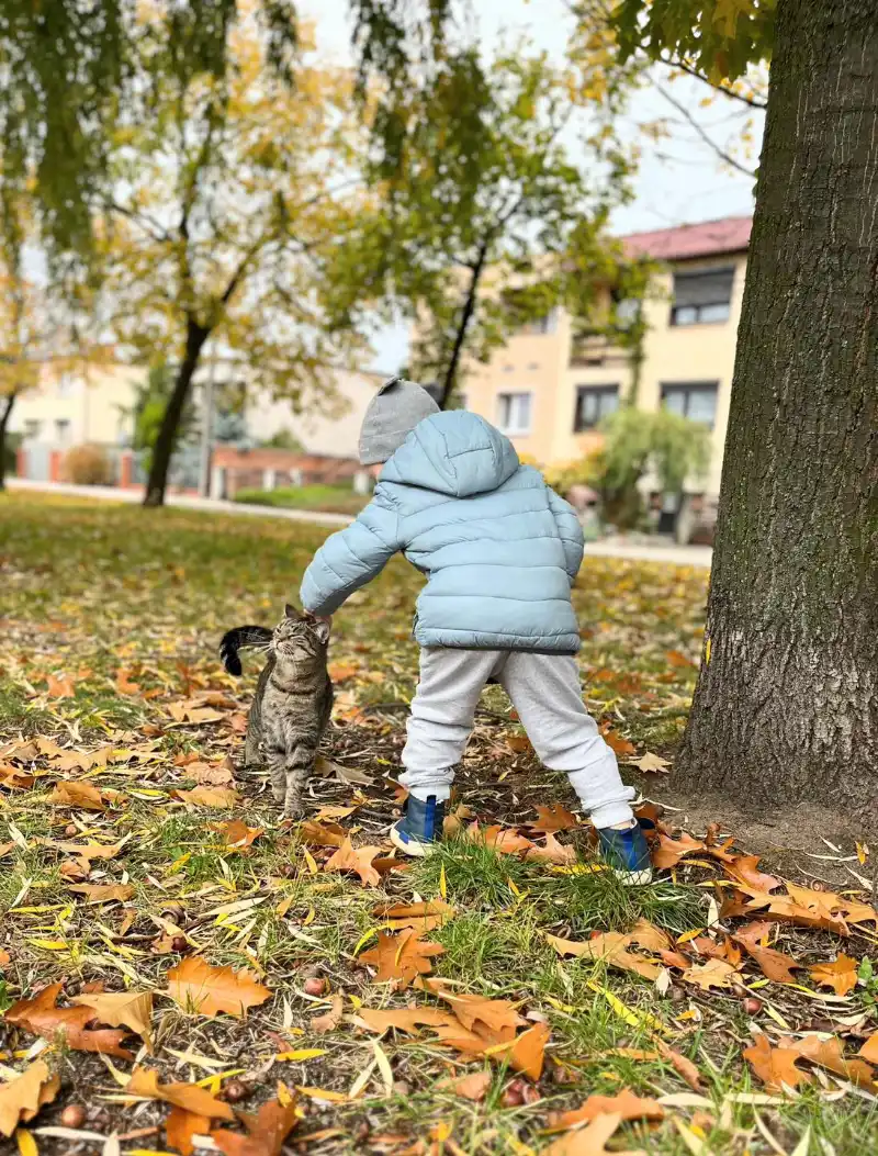 Codzienność dzieci w Osadzie Bliskości