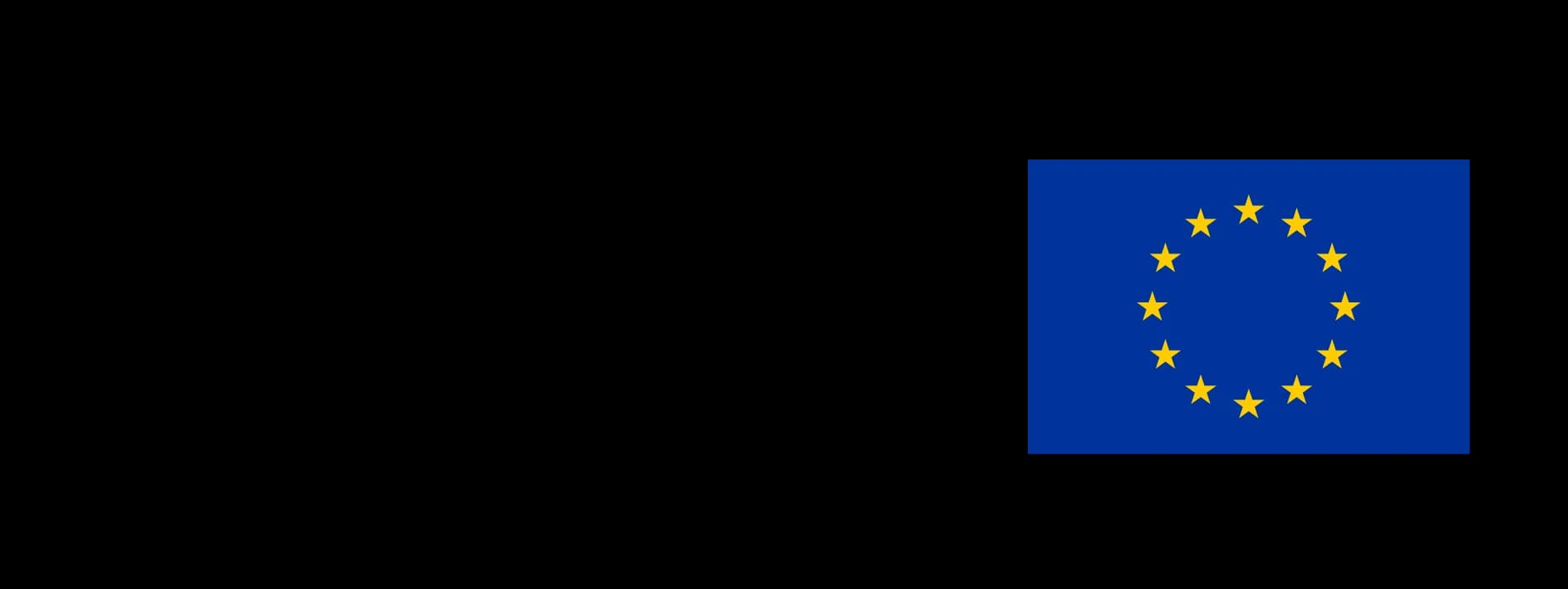 Dofinansowano przez Unię Europejską
